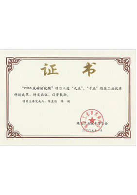 2005年1月PCAS灰砂活化劑獲“九五、十五”科技成果獎